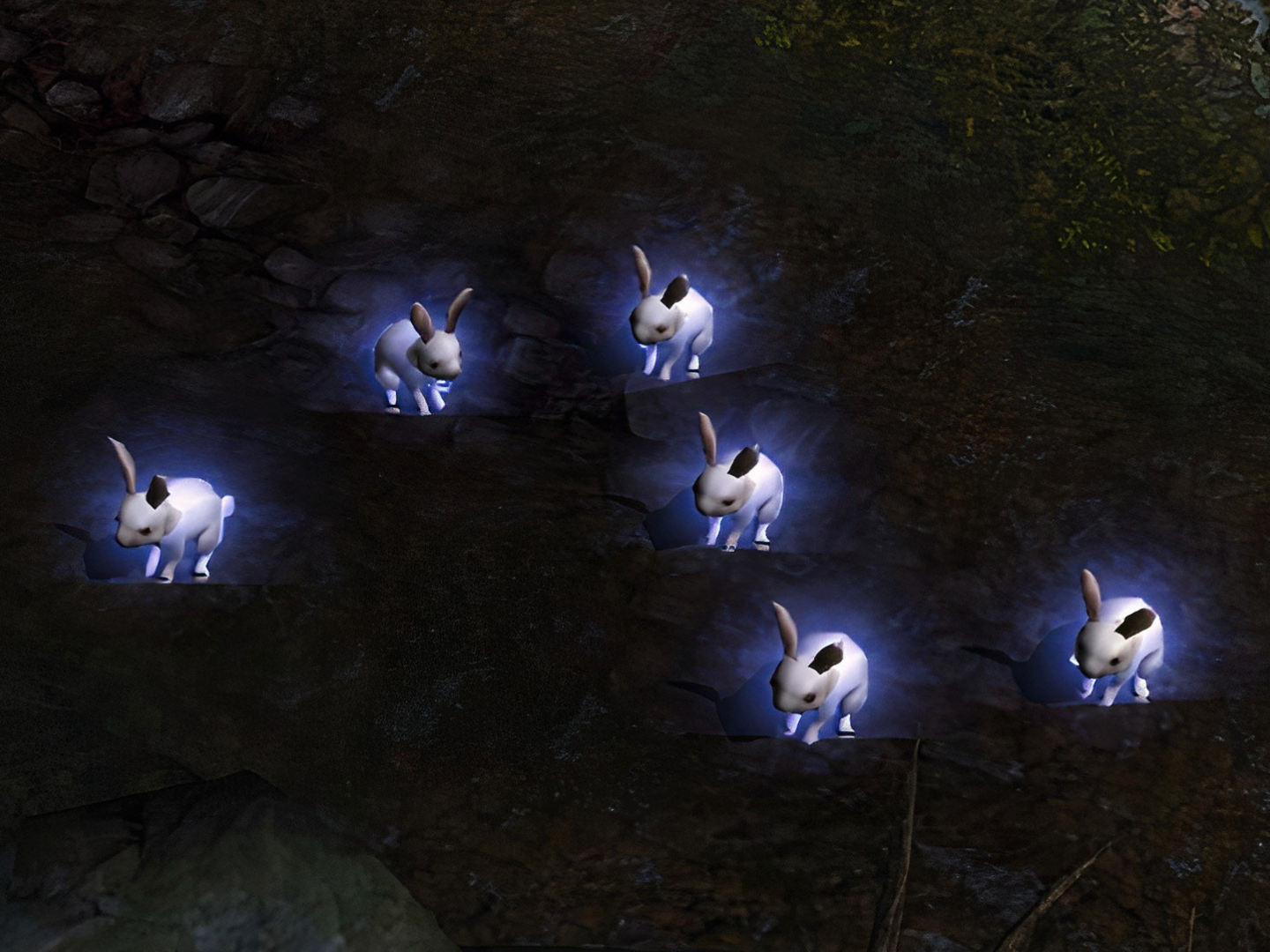 Lunar Rabbit